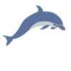 Dauphins1