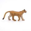 Pumas